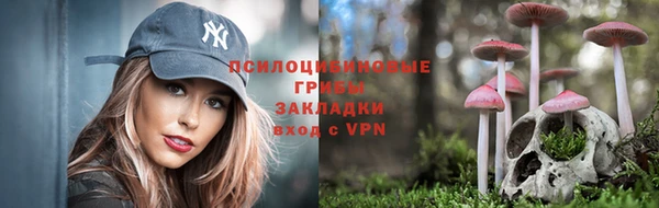 прущий лед Богородск