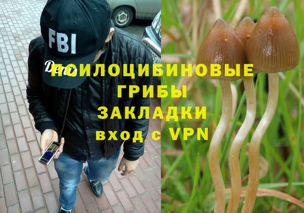 гашик Богородицк