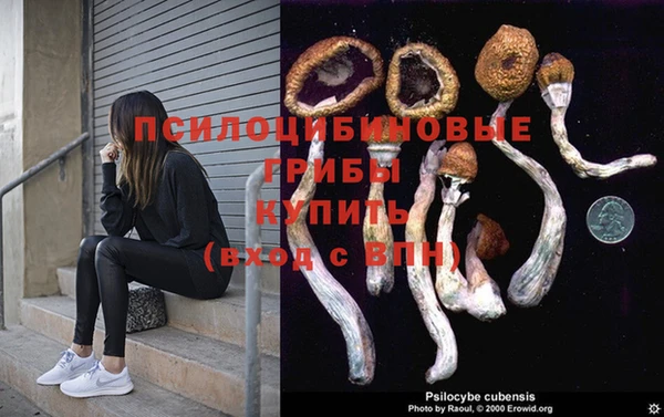 прущий лед Богородск