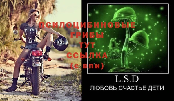 гашик Богородицк