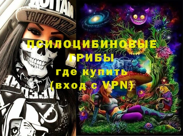 бошки Богданович