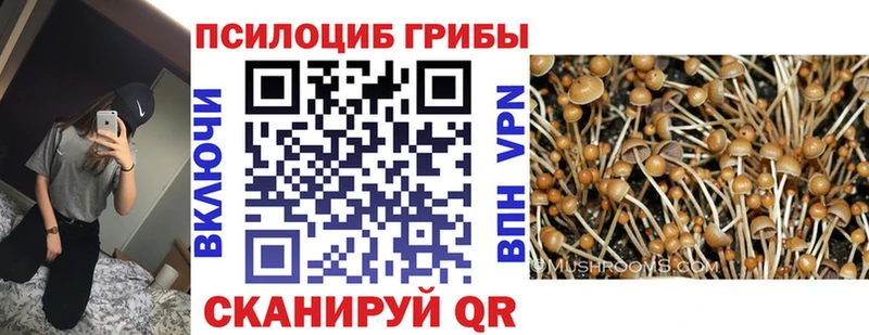 Галлюциногенные грибы мухоморы  Клинцы 