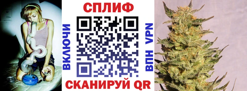 как найти   Клинцы  Каннабис MAZAR 